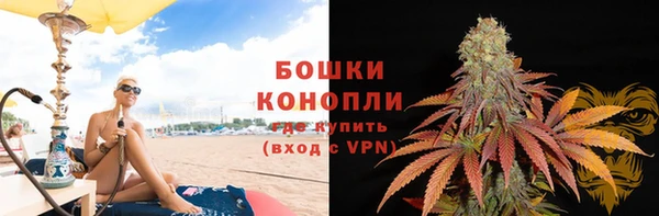 сатива Беломорск