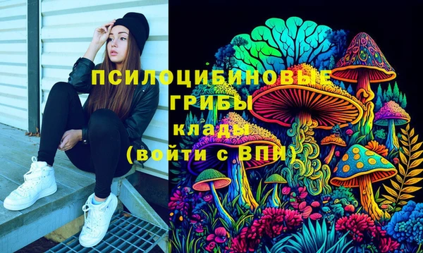 сатива Беломорск