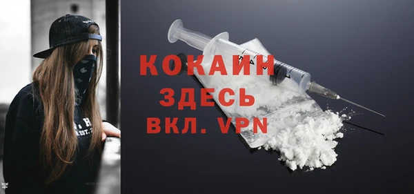 сатива Беломорск