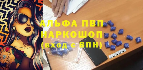сатива Беломорск