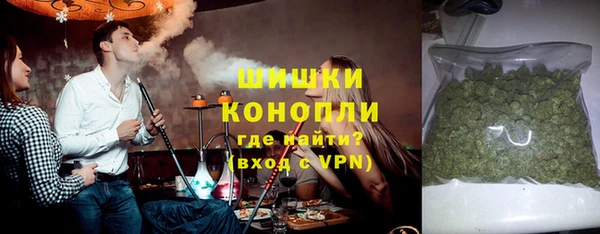 сатива Беломорск