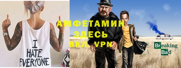 сатива Беломорск