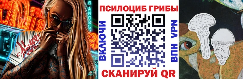 где можно купить наркотик  Воркута  Галлюциногенные грибы Psilocybe 